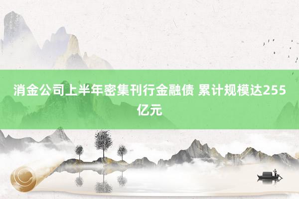 消金公司上半年密集刊行金融债 累计规模达255亿元