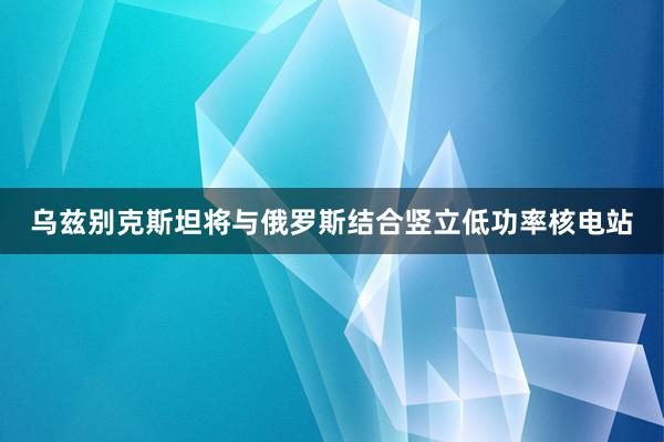 乌兹别克斯坦将与俄罗斯结合竖立低功率核电站