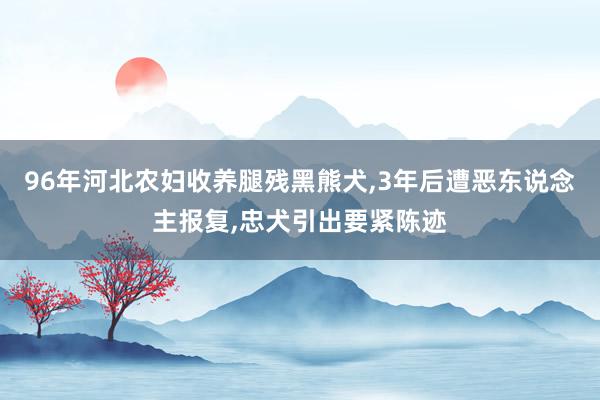 96年河北农妇收养腿残黑熊犬,3年后遭恶东说念主报复,忠犬引出要紧陈迹