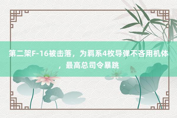 第二架F-16被击落，为羁系4枚导弹不吝用机体，最高总司令暴跳