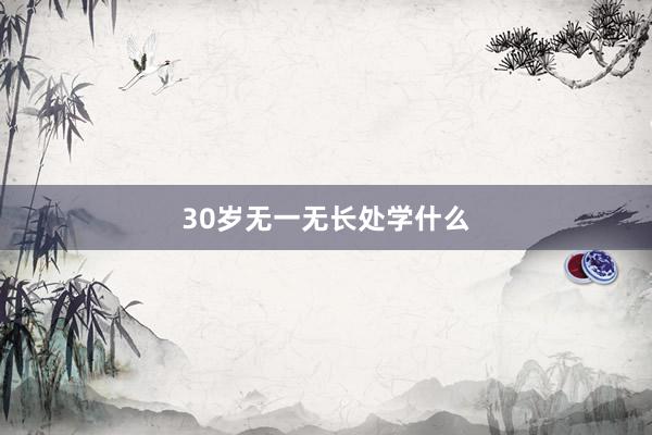 30岁无一无长处学什么