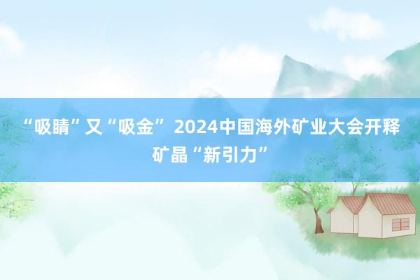 “吸睛”又“吸金” 2024中国海外矿业大会开释矿晶“新引力”