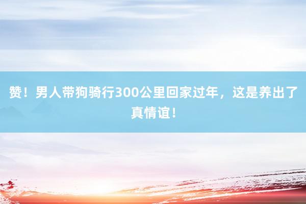 赞！男人带狗骑行300公里回家过年，这是养出了真情谊！